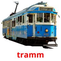 tramm picture flashcards
