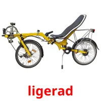 ligerad Tarjetas didacticas