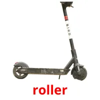roller Tarjetas didacticas