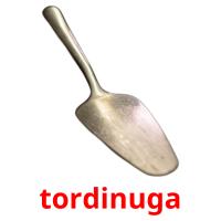 tordinuga card for translate