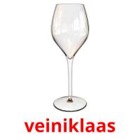 veiniklaas card for translate