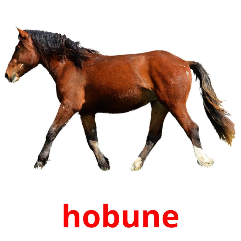 hobune picture flashcards