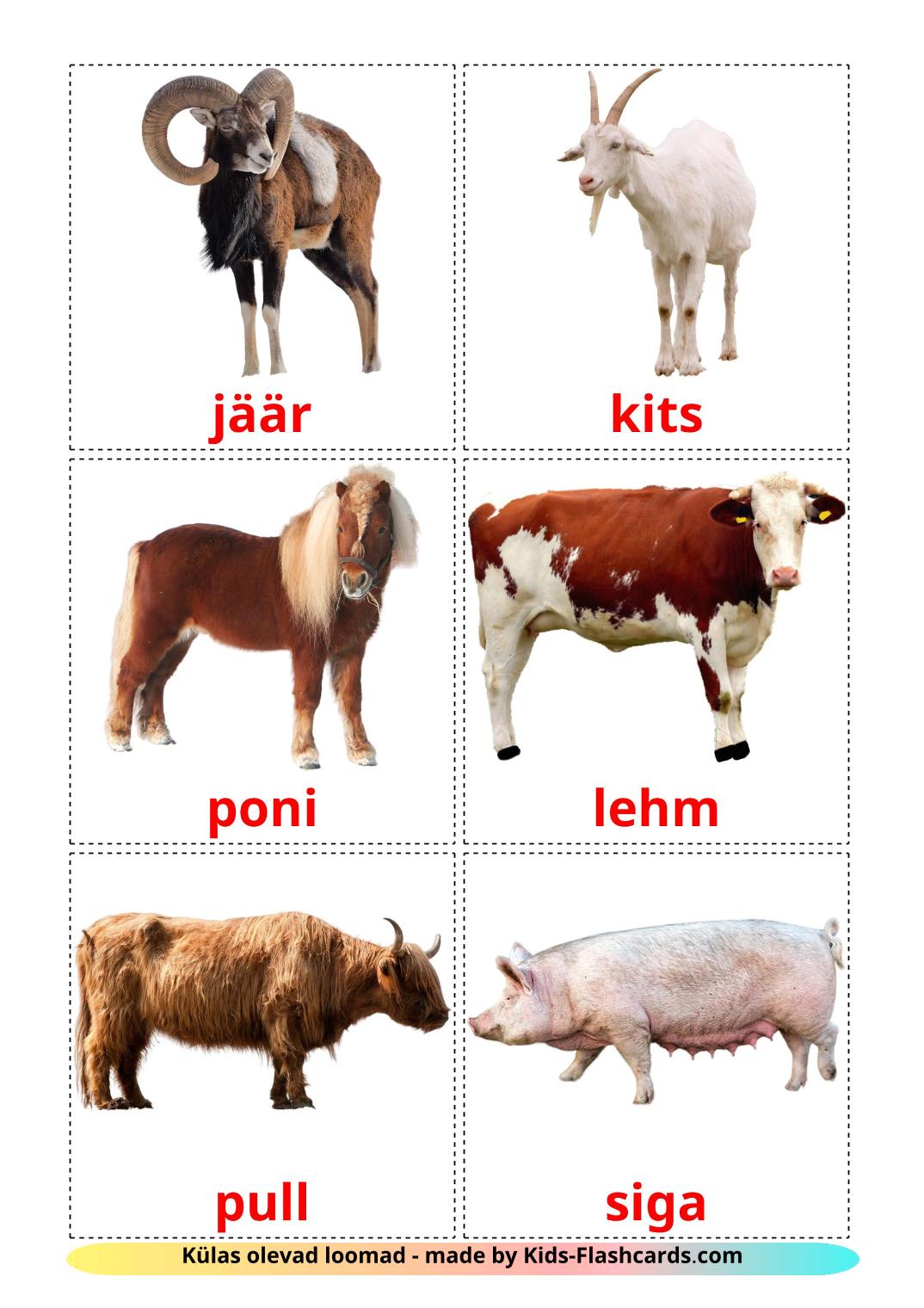 Farm animals - 15 Free Printable estonian Flashcards 