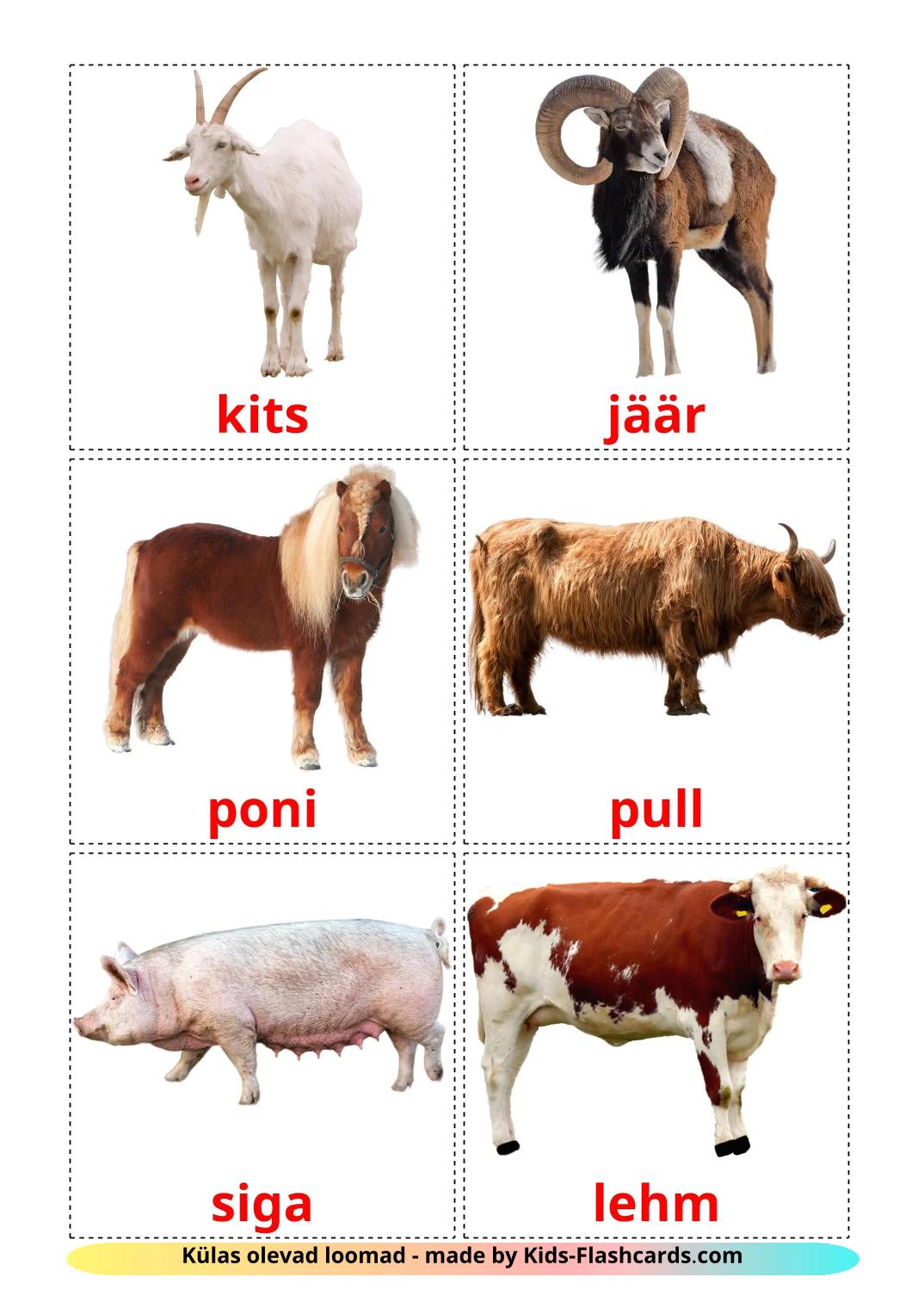 Farm animals - 16 Free Printable estonian Flashcards 