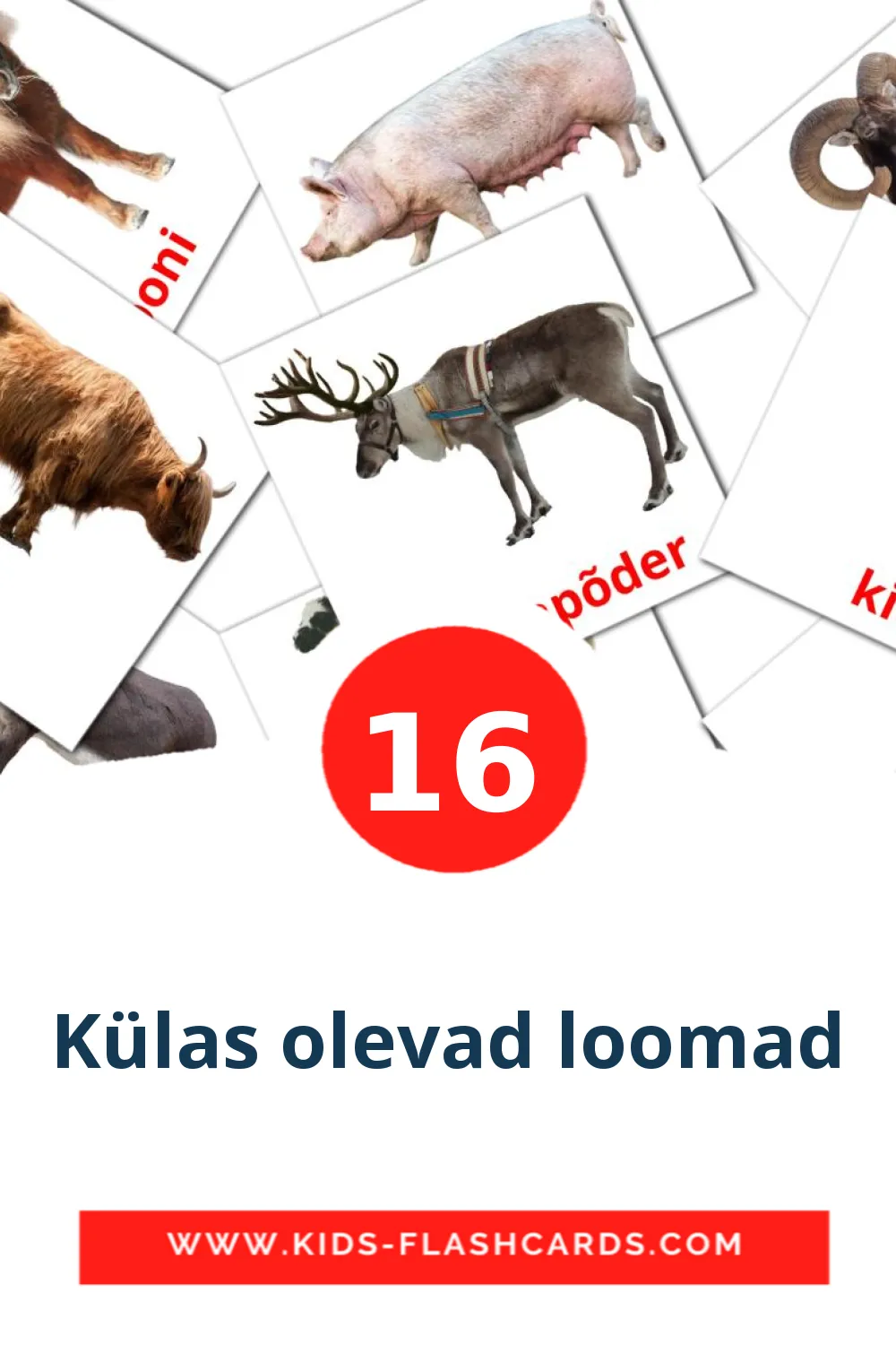 16 Külas olevad loomad Picture Cards for Kindergarden in estonian