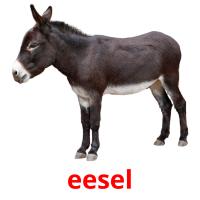 eesel picture flashcards
