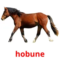 hobune picture flashcards