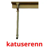 katuserenn Bildkarteikarten