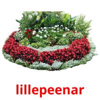 lillepeenar picture flashcards