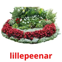 lillepeenar ansichtkaarten