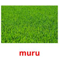 muru card for translate