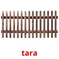 tara card for translate