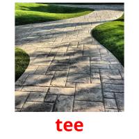 tee picture flashcards