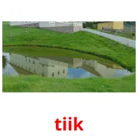 tiik ansichtkaarten