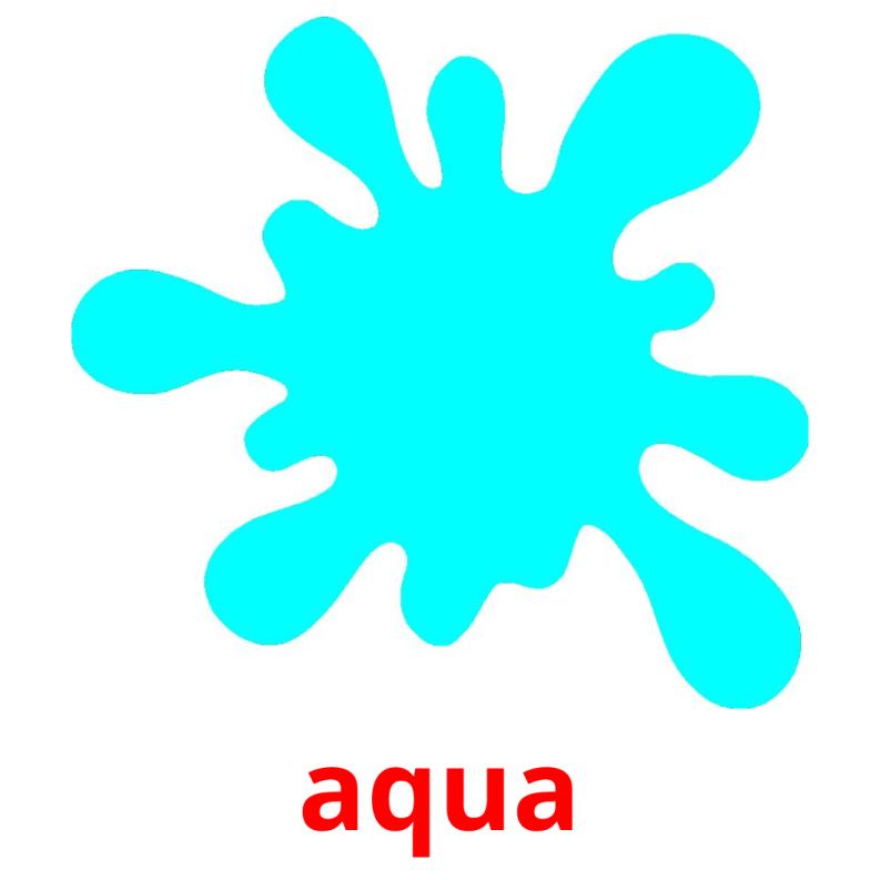 aqua picture flashcards