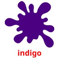 indigo picture flashcards