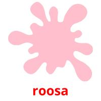 roosa picture flashcards