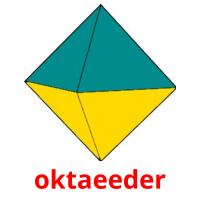 oktaeeder Bildkarteikarten