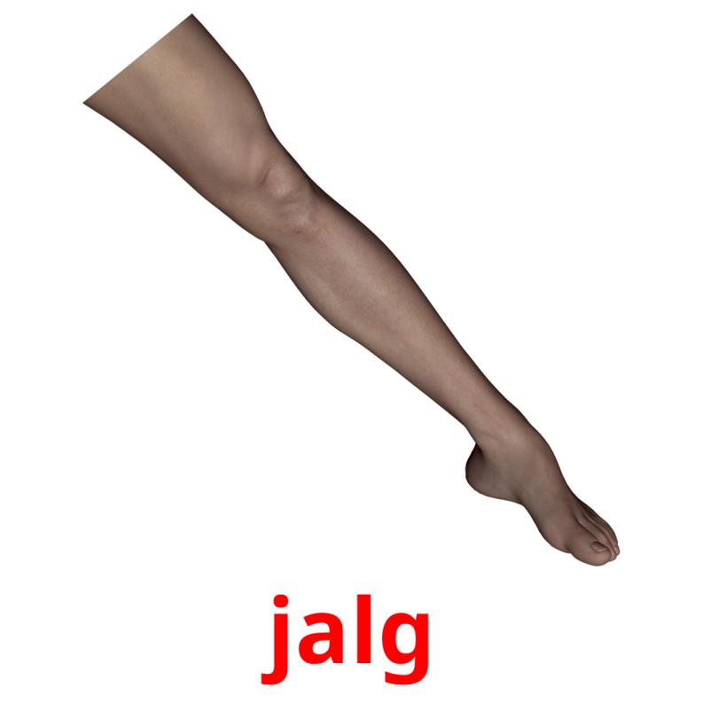 jalg picture flashcards