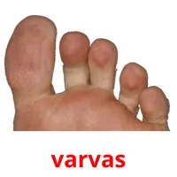 varvas cartões com imagens