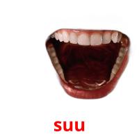 suu card for translate