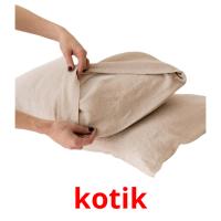 kotik flashcards illustrate