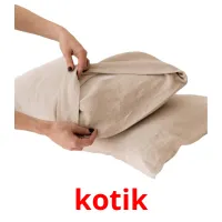 kotik ansichtkaarten