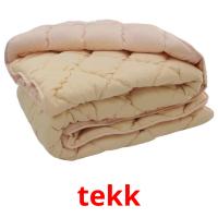 tekk picture flashcards