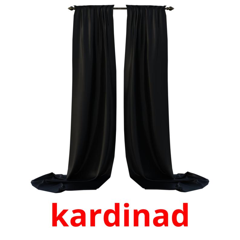 kardinad picture flashcards