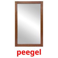 peegel picture flashcards