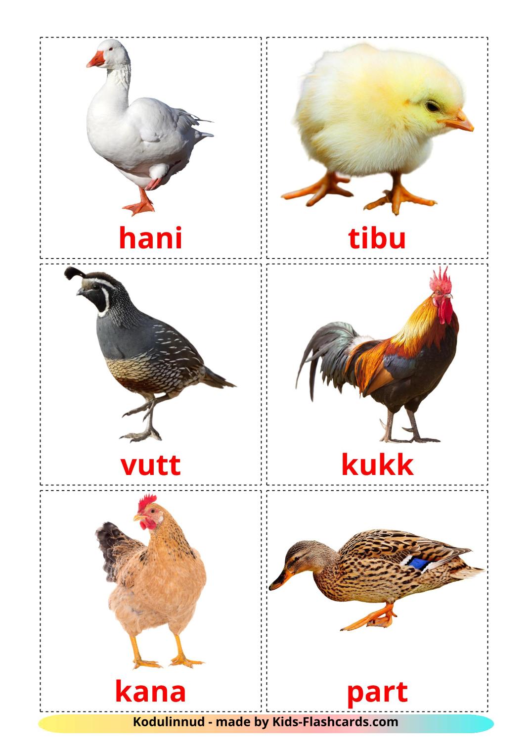 Farm birds - 11 Free Printable estonian Flashcards 