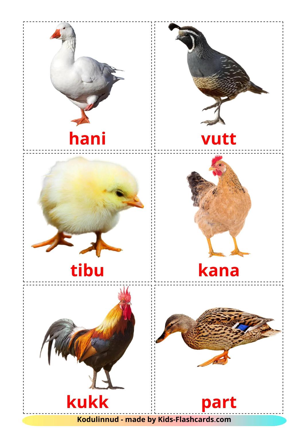 Farm birds - 12 Flashcards estonian imprimables gratuitement