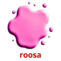 roosa picture flashcards