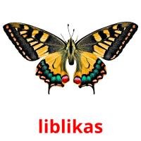 liblikas picture flashcards