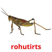 rohutirts card for translate