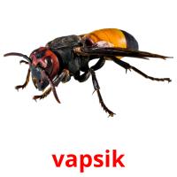 vapsik picture flashcards
