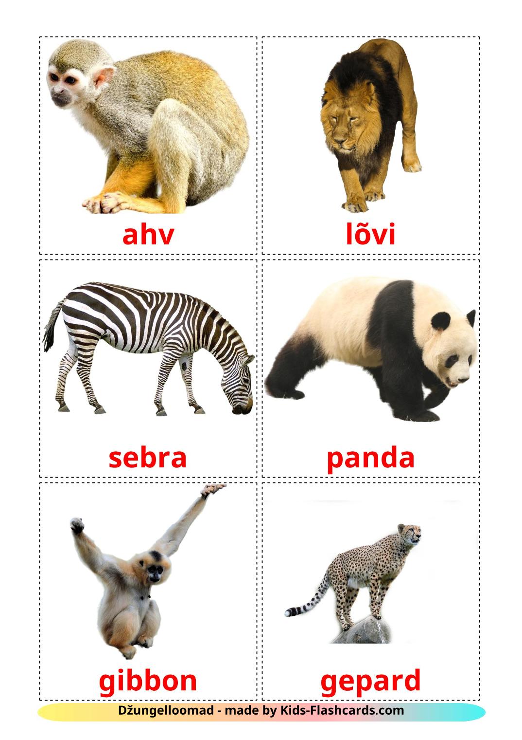 Jungle animals - 21 Free Printable estonian Flashcards 