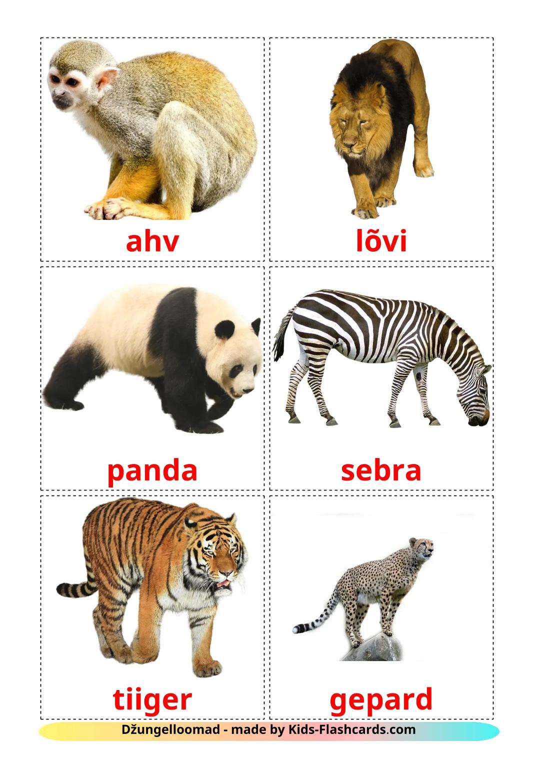 Jungle animals - 22 Free Printable estonian Flashcards 