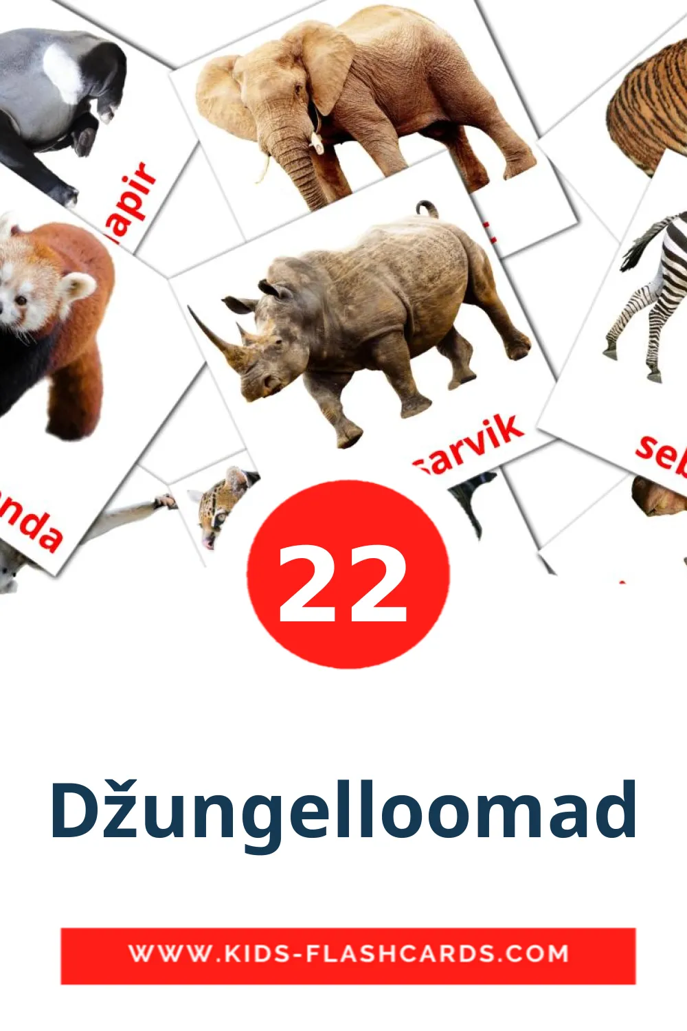 22 Džungelloomad Picture Cards for Kindergarden in estonian