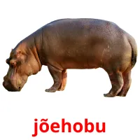 jõehobu picture flashcards