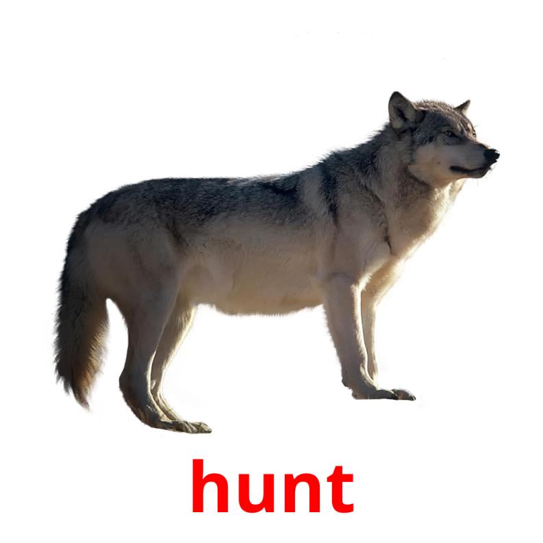hunt picture flashcards
