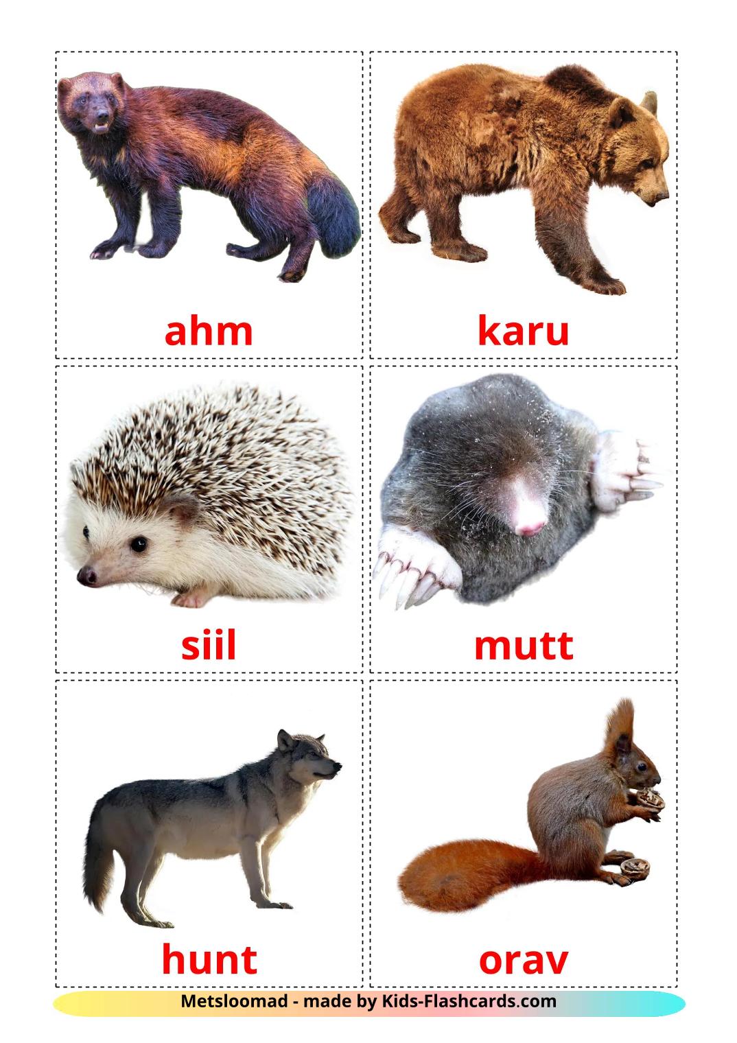 Animais da Floresta - 23 Flashcards estonianoes gratuitos para impressão