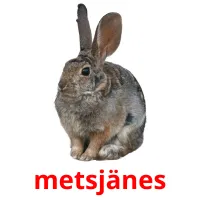 metsjänes cartões com imagens