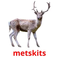 metskits cartões com imagens