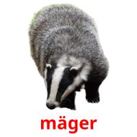 mäger picture flashcards