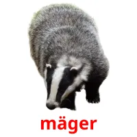 mäger cartões com imagens