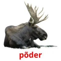 põder cartões com imagens