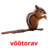 vöötorav cartões com imagens