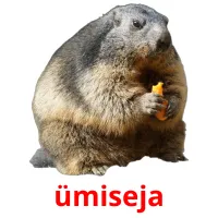 ümiseja cartões com imagens