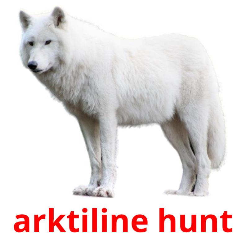 arktiline hunt picture flashcards